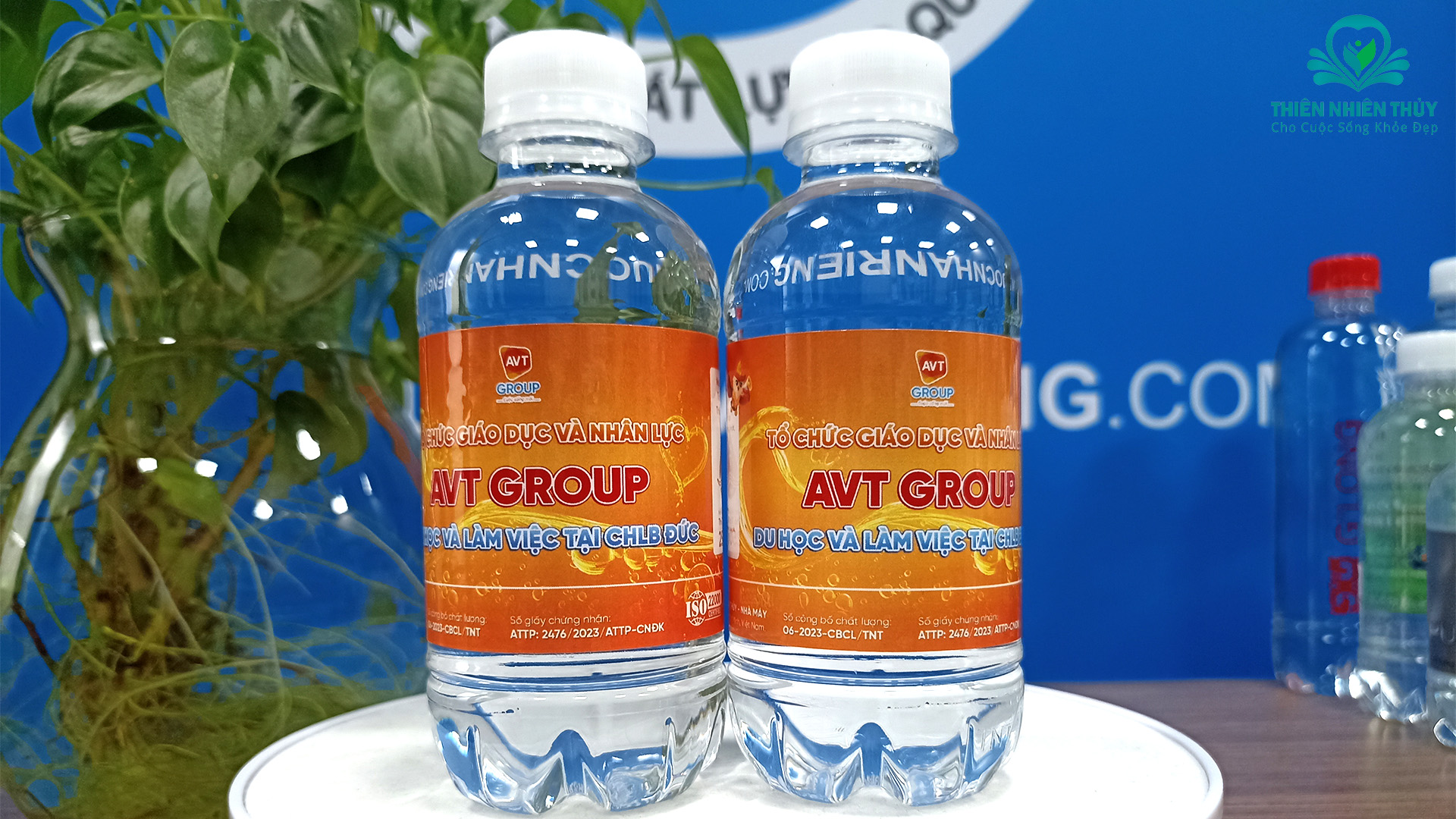 AVT Group và Chiến lược Sử dụng Nước Nhãn Riêng: Nâng cao Chất lượng Dịch vụ Du học Nghề Đức
