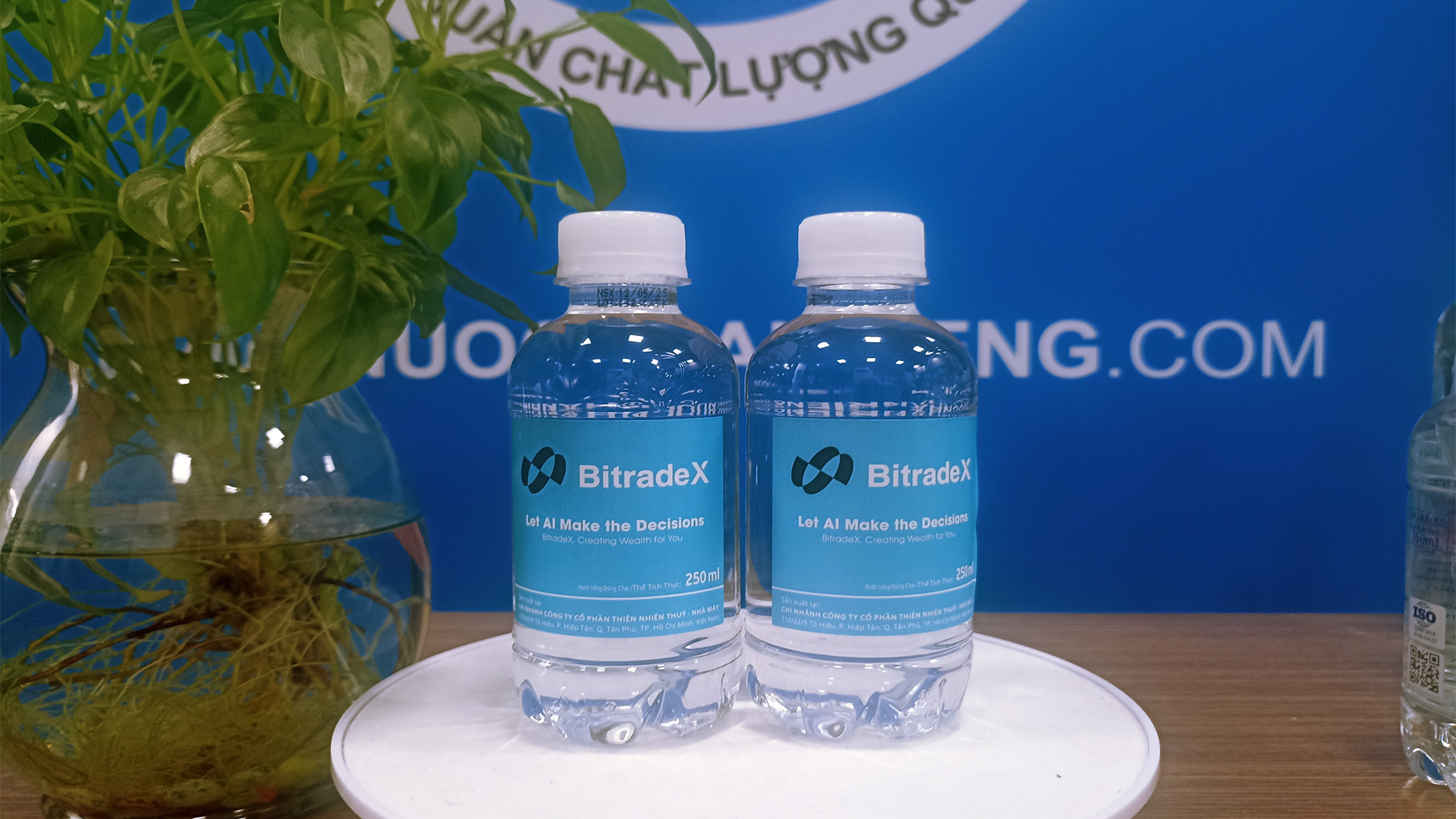 BitradeX: Khi Công Nghệ Giao Dịch Gặp Gỡ Nước Nhãn Riêng